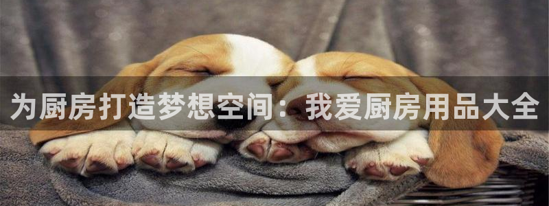 鸿运国际网站欢迎你